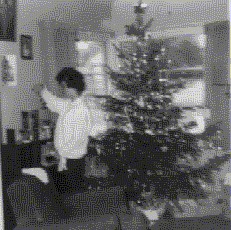Shirley, by One of our Christmas Trees, 